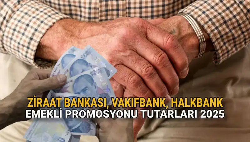 2025’te Emekli Banka Promosyonları: Kamu Bankaları Ne Sunuyor?