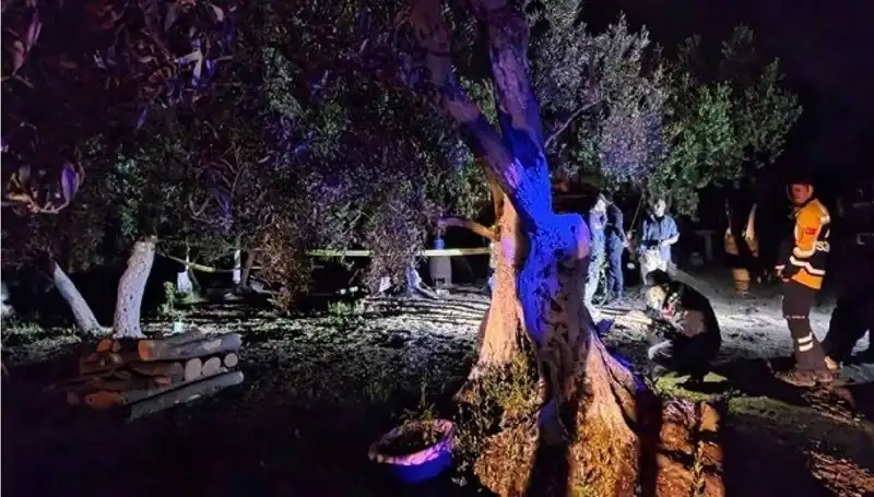 Çiftlikte meydana gelen baltalı vahşet sonrası! Şok tutuklama gerçekleşti