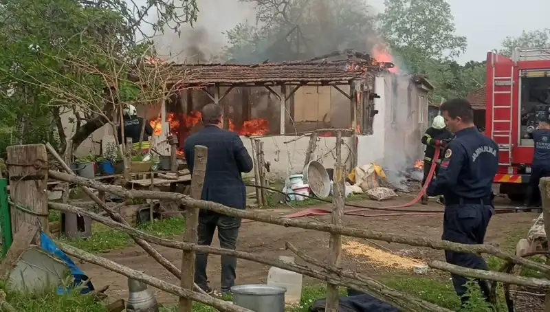 Elektrik Kontağından Çıkan Yangın, Alevler İçinde Kalan Evler ve Beklenmedik Sonuçlar