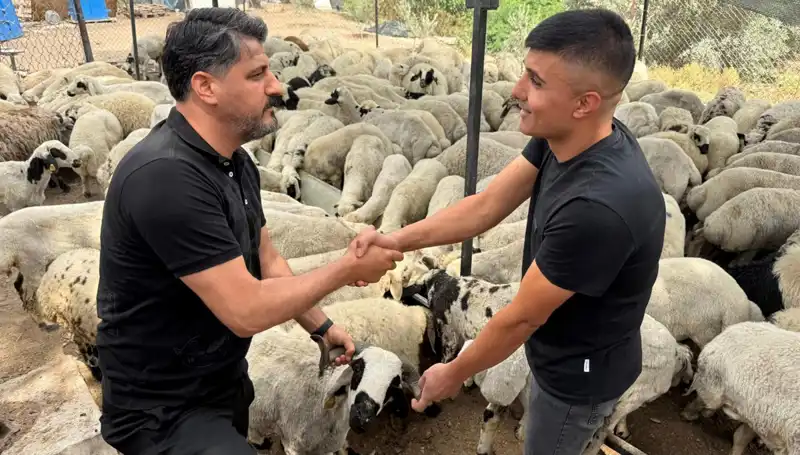 Kurbanlık Alırken Dikkat! Tuz ve Sumak Kullanımı Şişkinliği Artırıyor