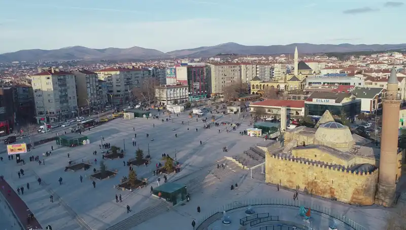 Kırşehir’de Bilim Dünyasını Sarsan Yeni Böcek Türü Keşfedildi