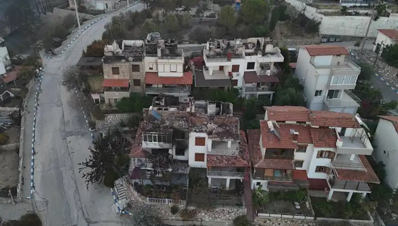 Orman Yangınları: Evler Kül Oldu, Doğa Yok Olma Tehlikesinde!