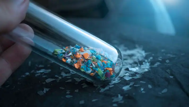 Mikroplastikler İnsan Beynine Kadar Sızdı: Sağlığımız Tehdit Altında mı?