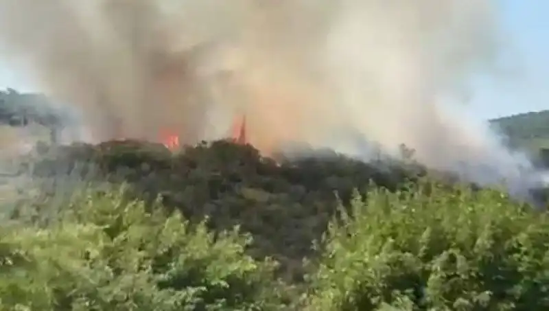 İstanbul Orman Yangınında Müdahale ve Tahliye Süreci: Son Durum