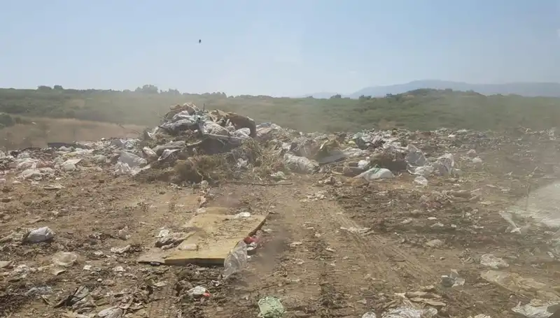 İzmir Büyükşehir Belediyesi'ne 9 Milyon Lira Ceza: Detaylar ve Sonuçları