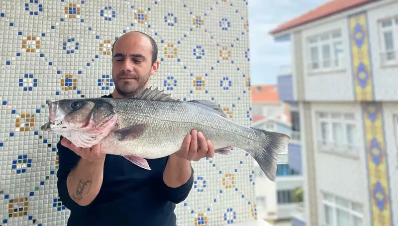 Türkiye'de Şaşırtan An: 7,5 Kiloluk Dev Levrek Avlandı!