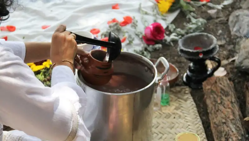 Ayahuasca: Gizemli Şifanın Yüzleri ve Türkiye'deki Durumu