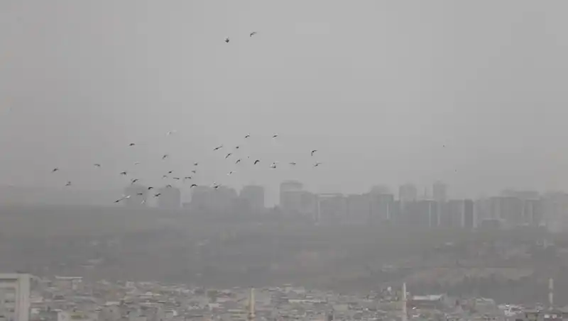 Şanlıurfa’yı Göz Gözü Görmeyen Toz Bulutu Sarmaladı!