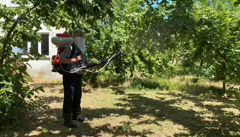 Çiftçilerin Umudu: Kükürt ve Samuray Arısının Mücadele Gücü