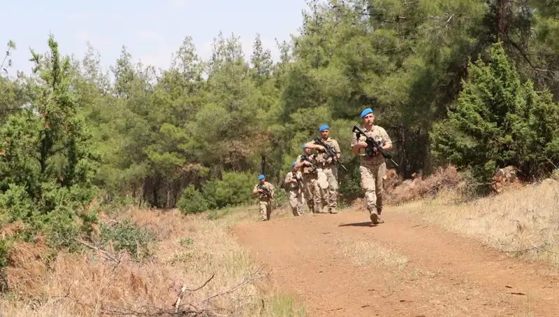 Kilis'te Orman Yangınları İçin Alınan Acil Önlemler Nedir?