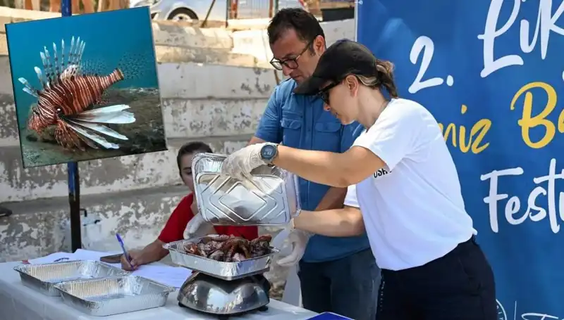 Antalya'da Su Altında Büyük Heyecan: İstilacı Aslan Balığı Avlama Yarışması