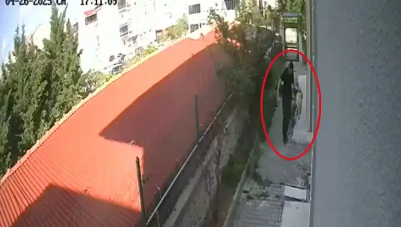 Veteriner Doktorun Korkunç İfadesi: Sahiplendiği Köpekleri Parçaladı!
