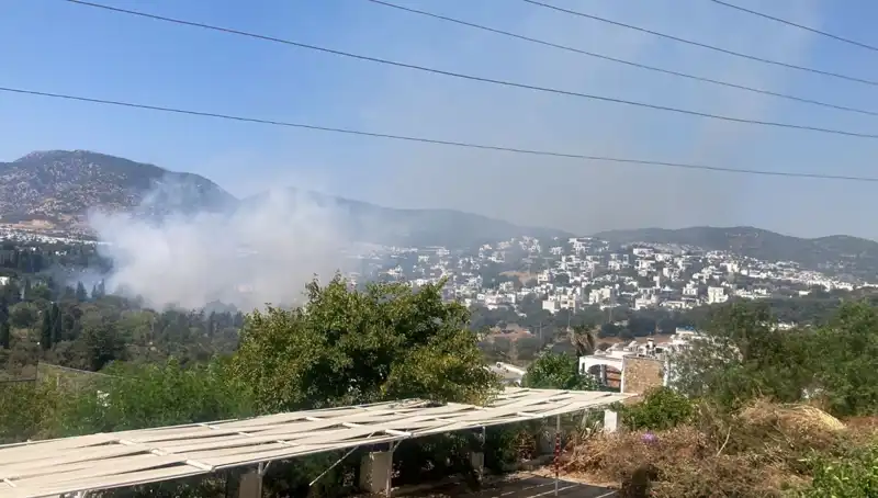 Muğla'daki Orman Yangınları Kontrol Altına Alındı: Son Durum Nedir?
