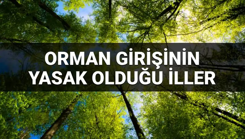 Türkiye’de Ormana Girişi Yasaklanan İller: 2025 Güncel Listesi