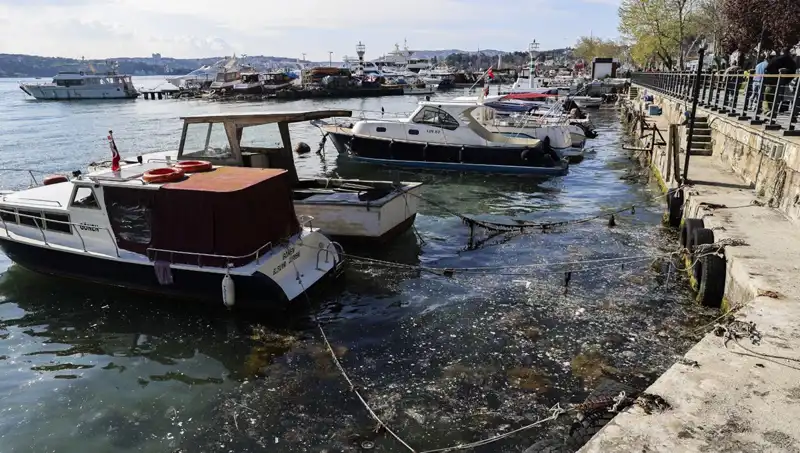 İstanbul'da Müsilaj Kabusu Geri Döndü: Deniz Alarm Veriyor!