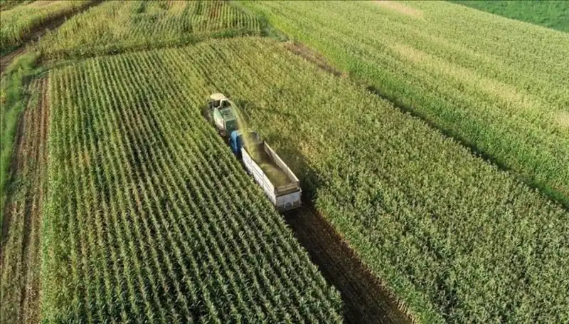 Mart 2025 Mazot ve Gübre Desteği Ödemeleri: Gözler Bakanlıkta!