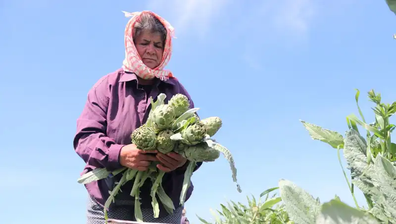 Türkiye'de Tarım Ürünleri Fiyatları Tavan Yaptı: Tezgahta 50 TL!