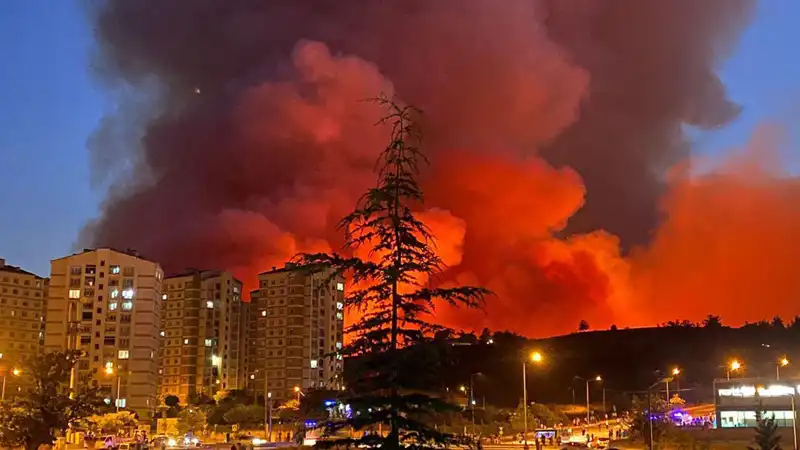 Bursa'da Yangın Alarmı: Şehri Korku Sarhoşu Haline Getiren Olay