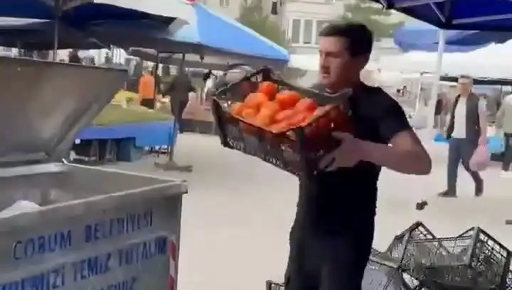 Domatesleri Çöp Kutusuna Attığı İçin Pazarcıya Şok Edici Para Cezası