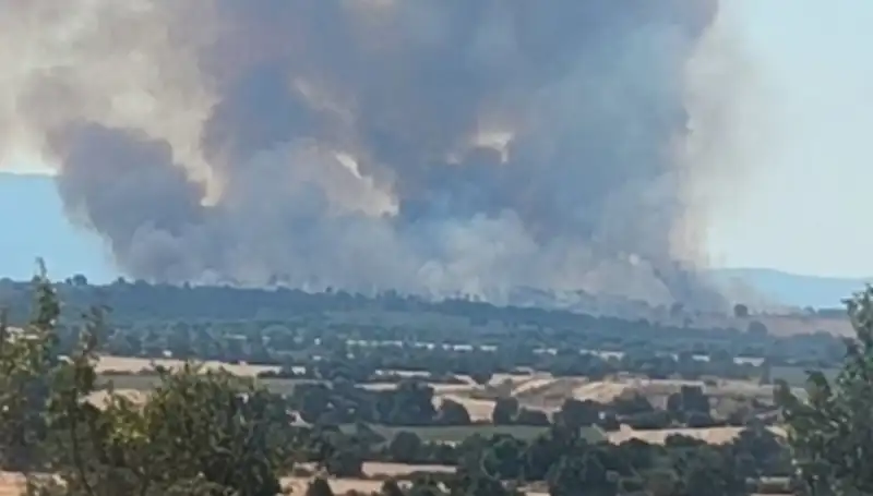 Komşudaki Orman Yangını, Edirne'yi Büyük Bir Dumanla Kapladı!