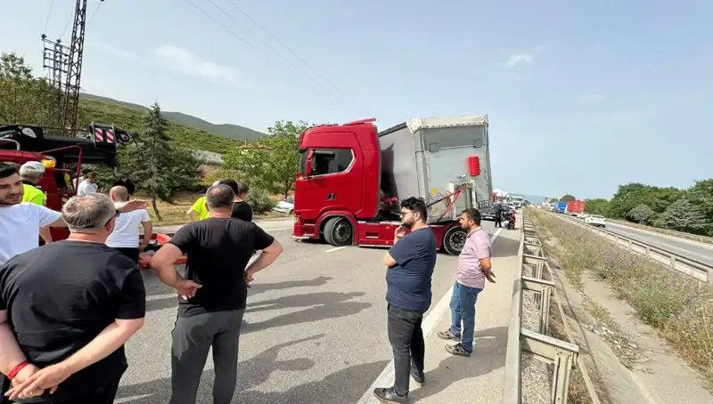 Seyir Halindeyken Arı Soktu: Trafik Tıkanıklığına Neden Olan Şaşırtıcı Olay