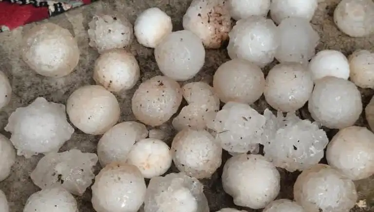 Şanlıurfa'da Dolu Yağmuru Şok Etkisi Yarattı: Kar Topu Büyüklüğünde!