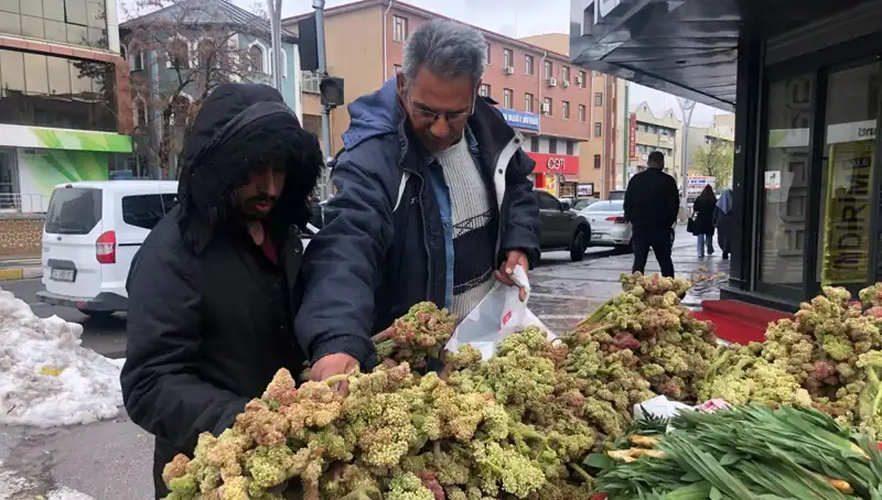 Kendiliğinden Yetişen Vitamin Deposunun Kanserle Mücadeledeki Şaşırtıcı Rolü
