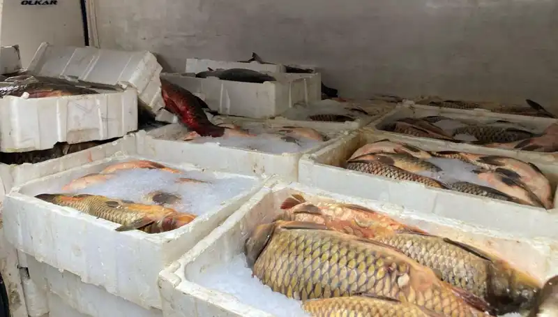 Kaçak Balık Avına Çıkanlara Binlerce Lira Ceza Yağdı!