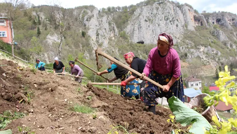 Zorlu Mesai Başladı: Sırtlarında Sepetler, Ellerinde Kazmalar ile Yeni Bir Hayata Adım Attılar