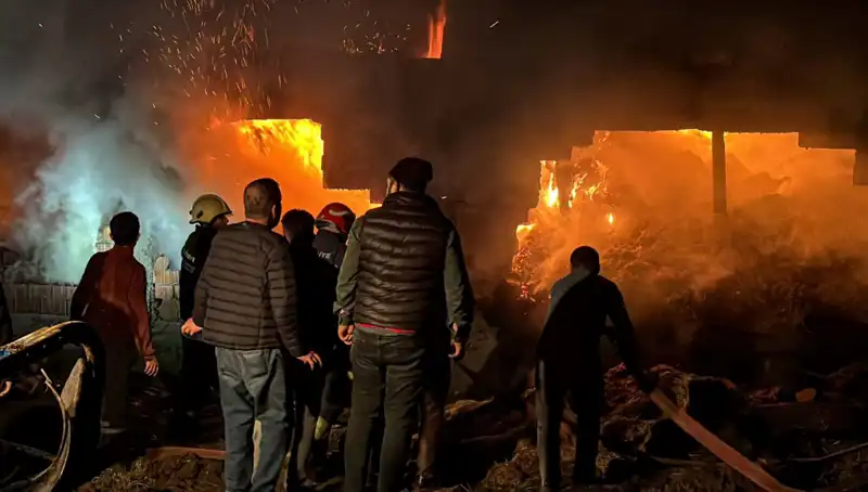 Bolu'da Korkutan Ahır Yangını: Hayvanlar ve Mülk Tehlikede