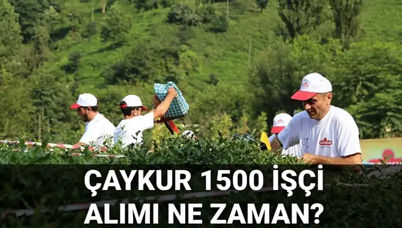 Çaykur İşçi Alımı Başvuru Tarihleri ve Süreç Hakkında Her Şey