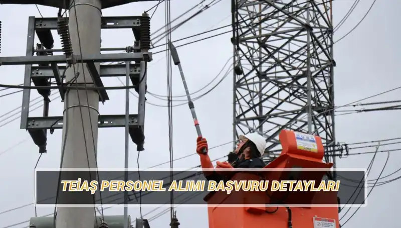 TEİAŞ 2023 Personel Alımı: Başvuru Tarihleri ve Şartları Açıklandı