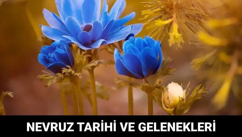 Nevruz Bayramı: Kutlamaların Derin Anlamı ve Gelenekleri
