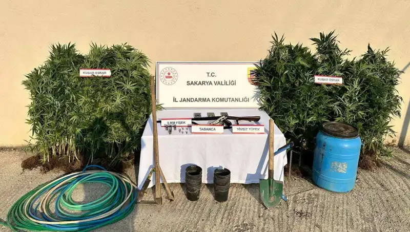 Sakarya'da Uyuşturucu Operasyonu: Yakalanan Şahıs Tutuklandı!