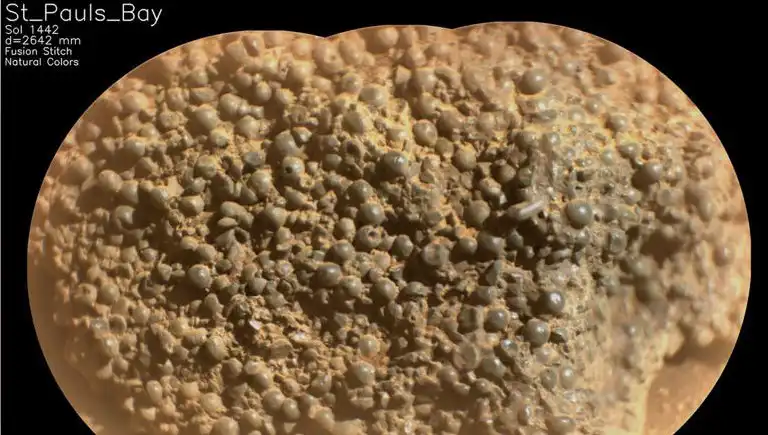 Mars'ta Gizemli Keşif: Örümcek Yumurtalarına Benzer Yapılar Bulundu