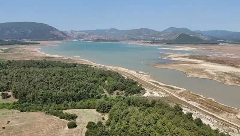 İzmir'de Tehlike Çanları: Geçen Yıla Göre Korkutan Düşüş