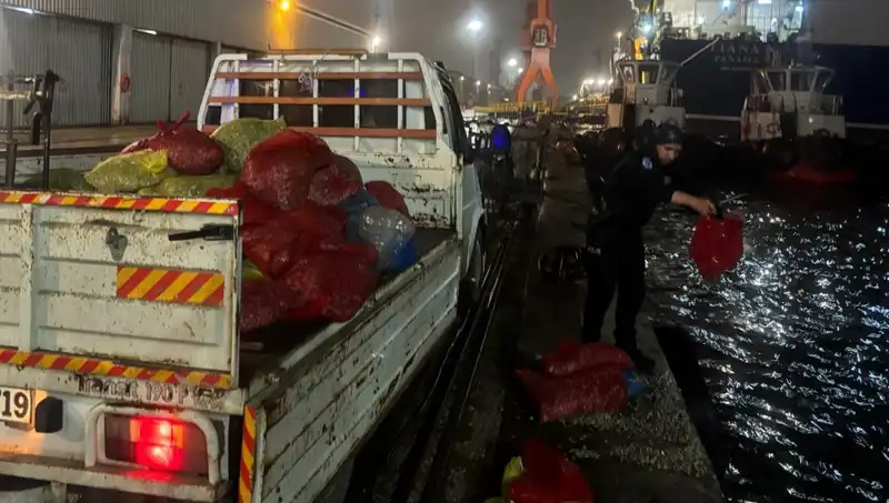 Kaçak Midye Operasyonunda Yakalanan Binlerce Kilo Midye İmha Edildi