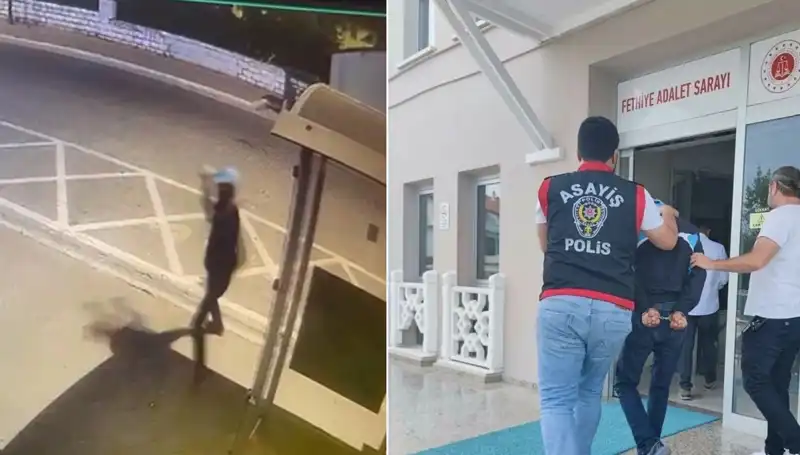 AK Parti Binasına Taş Atan Şüpheli Tutuklandı: Olayın Ayrıntıları