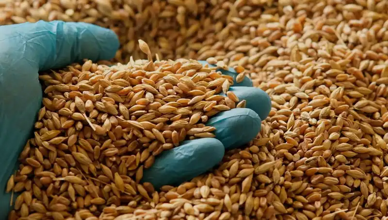 Kalp Hastalığı Riskinizi Azaltacak 10 Besin Öğesi
