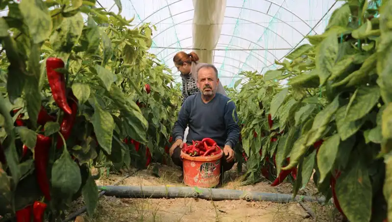 Fiyat Artışı Şok Etti: 50 Liralık Ürün 80 TL'ye Yükseldi!
