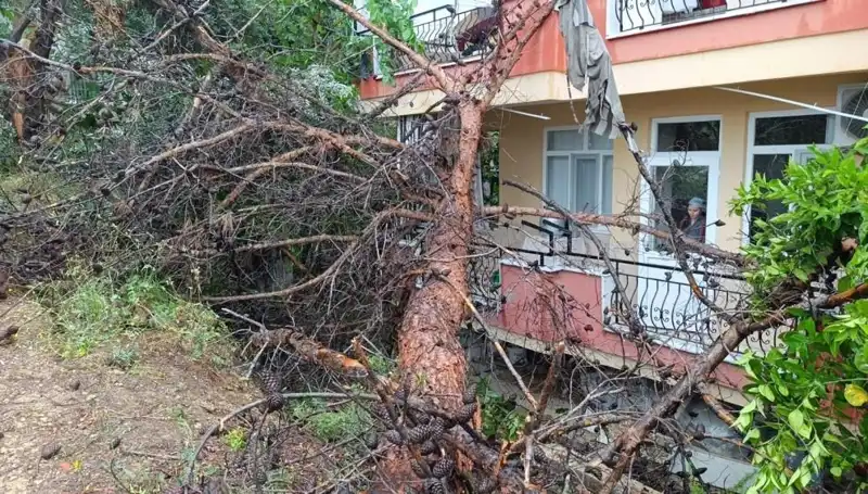Yağışların Ardından Devrilen Binanın Hikayesi İstanbul'u Sarstı!